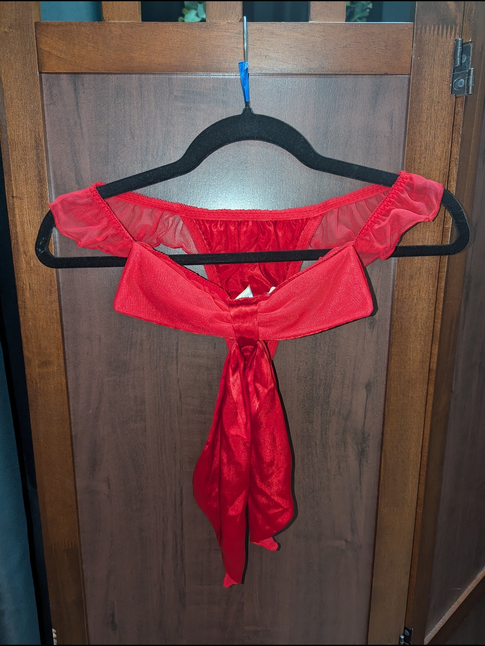Red Satin & Mesh Tie-Front Panties